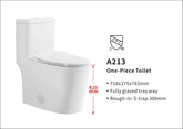One Piece Toilet-A213